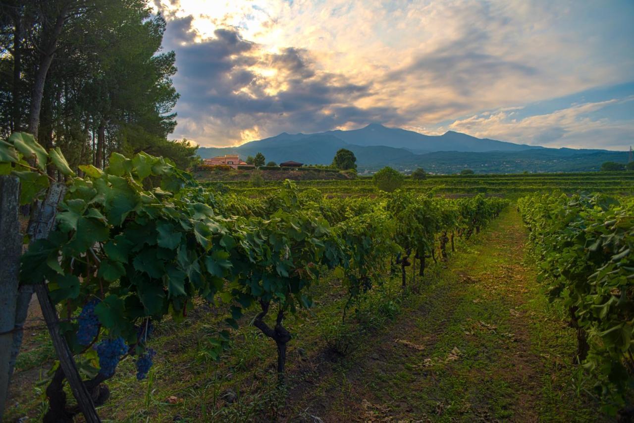 Agriturismo Tenuta San Michele Santa Venerina Exterior foto